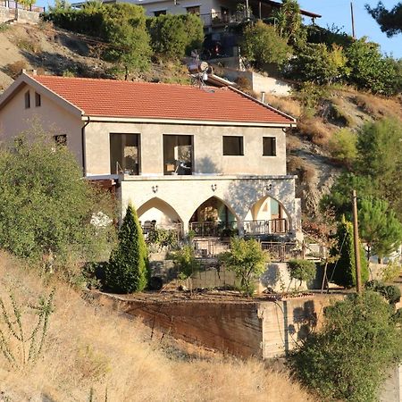 Georgiou Villa In Action Pelendri 外观 照片