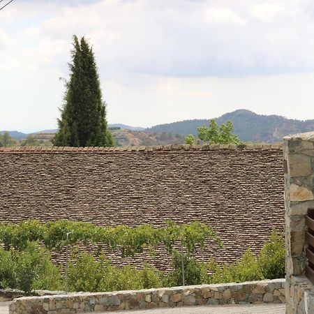 Georgiou Villa In Action Pelendri 外观 照片