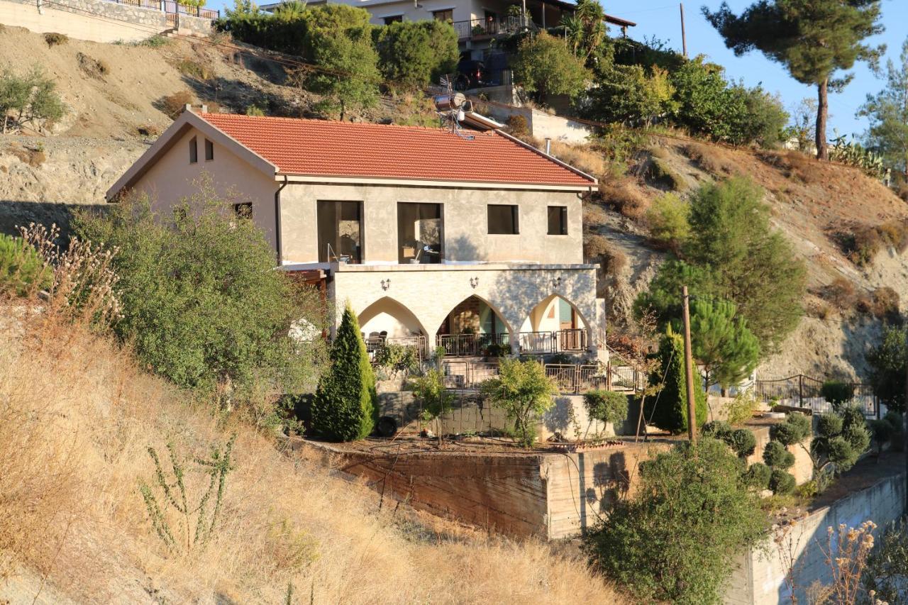 Georgiou Villa In Action Pelendri 外观 照片