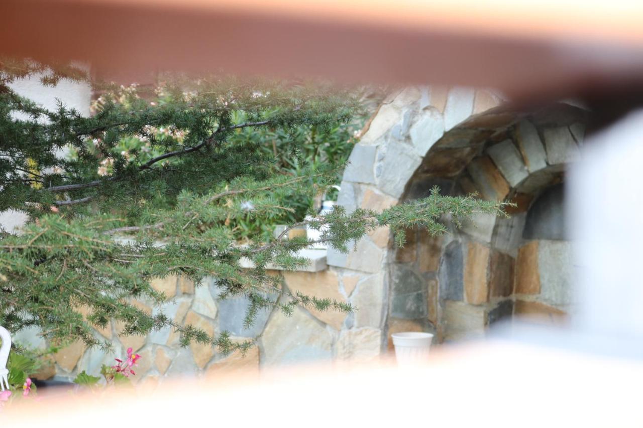 Georgiou Villa In Action Pelendri 外观 照片