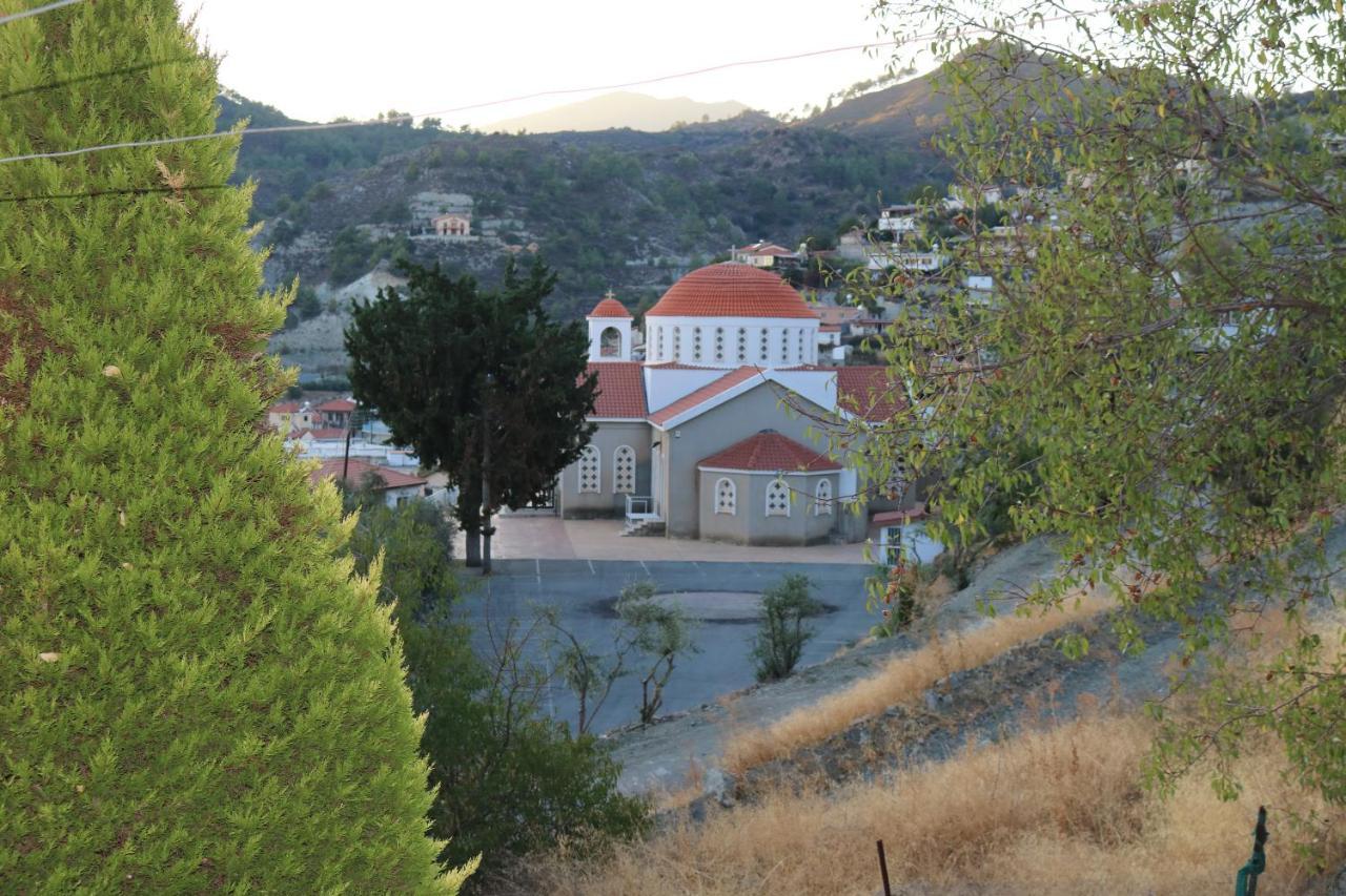 Georgiou Villa In Action Pelendri 外观 照片