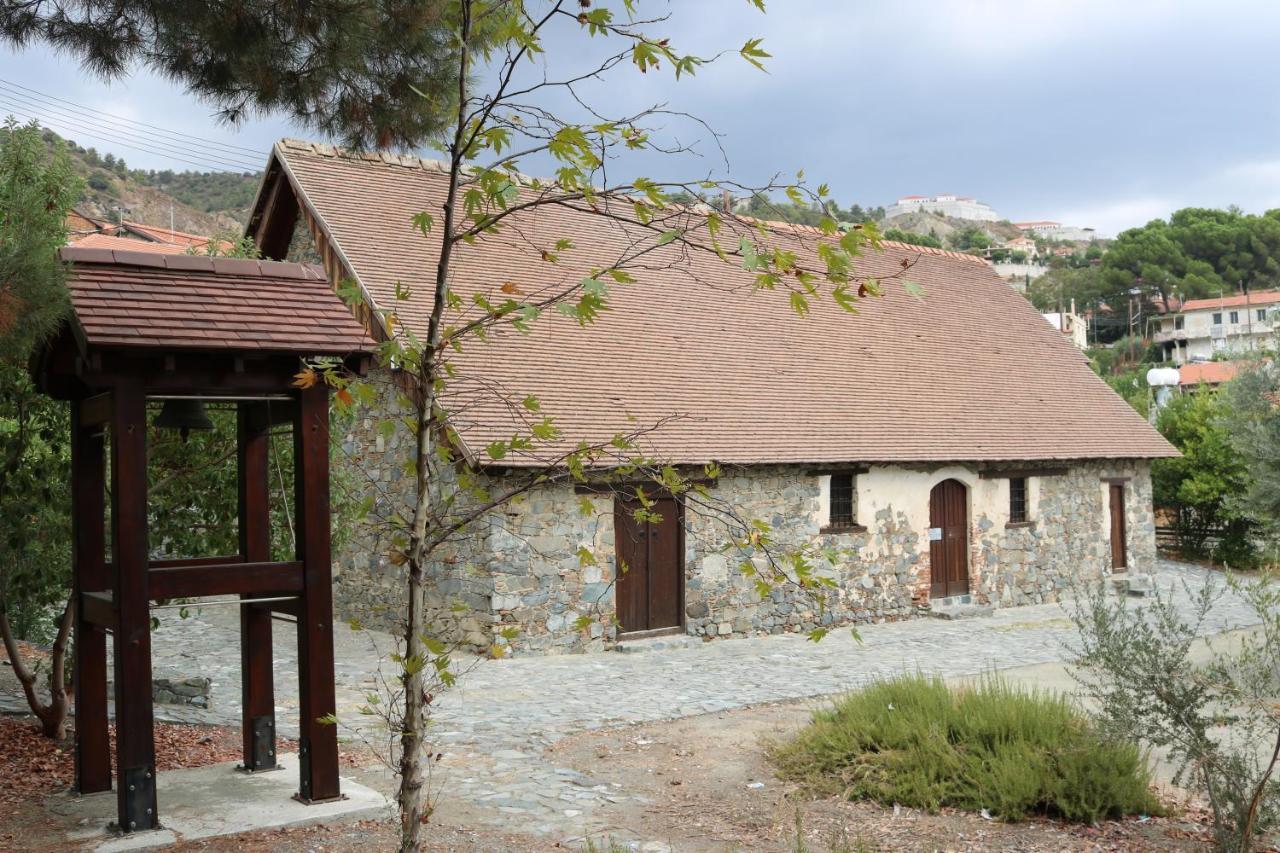 Georgiou Villa In Action Pelendri 外观 照片
