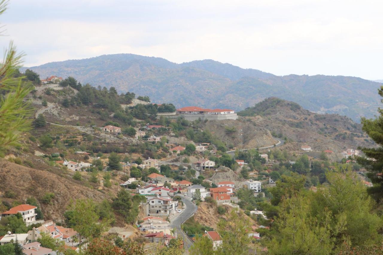 Georgiou Villa In Action Pelendri 外观 照片